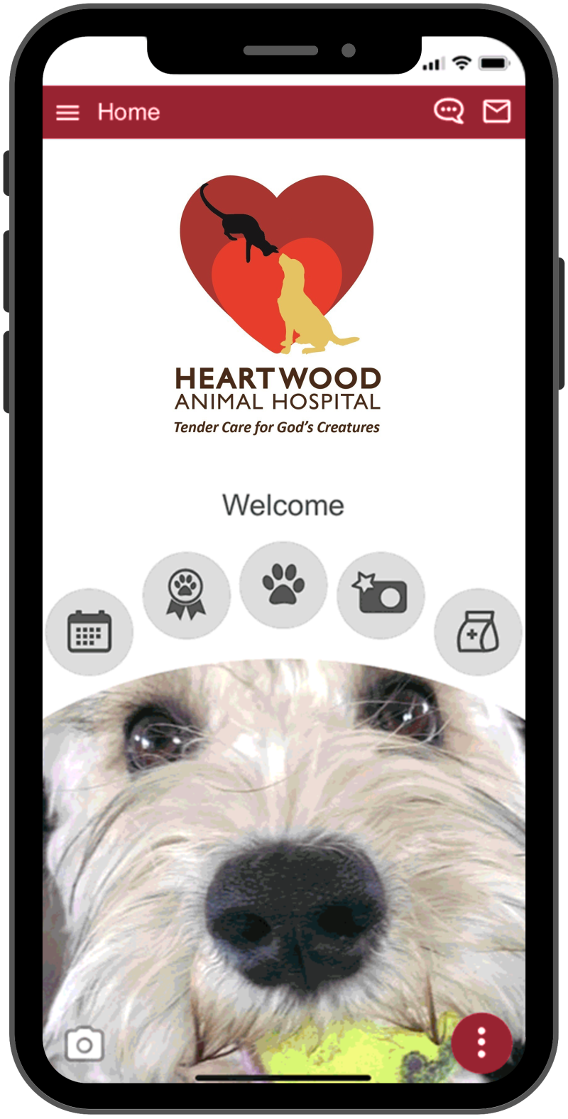 Our App Vet in Youngsville Heartwood Animal Hospital