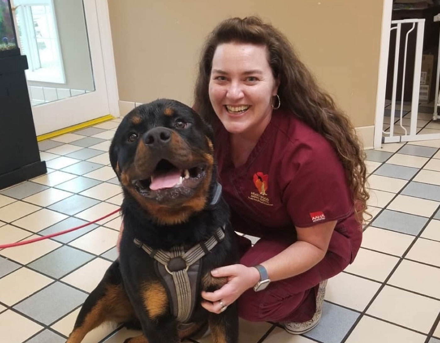 Careers Vet in Youngsville Heartwood Animal Hospital